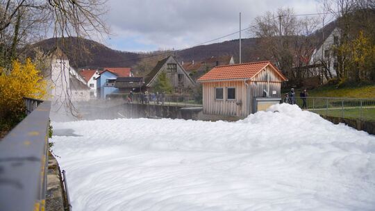 Foto: SDMG Foto: SDMG