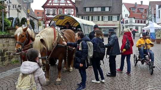 Planwagenfahrt mit Dirk Ernst aus Jesingen. Foto: Sabine Ackermann Planwagenfahrt mit Dirk Ernst aus Jesingen. Foto: Sabine Ackermann