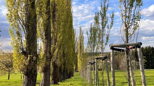 Foto: privat Foto: privat