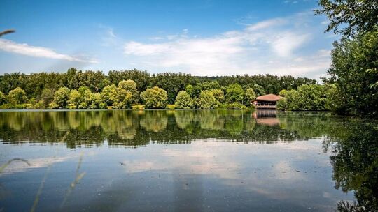 Der Aileswasensee in Neckartailfingen ist einer der Badeseen im Land, dessen Gewässerqualität regelmäßig überprüft wird. Archiv- Der Aileswasensee in Neckartailfingen ist einer der Badeseen im Land, dessen Gewässerqualität regelmäßig überprüft wird. Archiv-