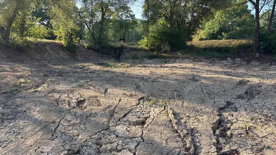 Der Kirchheimer Sonnensee liegt wegen Sanierungsarbeiten trocken. Foto: Iris Häfner Der Kirchheimer Sonnensee liegt wegen Sanierungsarbeiten trocken. Foto: Iris Häfner