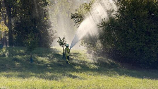 So schön kann eine Vegetationsbrandübung in der Morgensonne aussehen. Foto: Jule Störk So schön kann eine Vegetationsbrandübung in der Morgensonne aussehen. Foto: Jule Störk