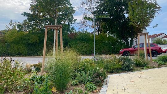 In der Südstadt schmückt nun deutlich mehr Grün den Straßenraum. Foto: Antje Dörr In der Südstadt schmückt nun deutlich mehr Grün den Straßenraum. Foto: Antje Dörr