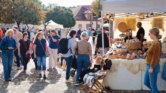 Kirchheimer Wollmarkt an der Wollmarktstraße. Weil das Schloss nicht zur Verfügung stand, ist der Markt mit Angeboten rund ums S Kirchheimer Wollmarkt an der Wollmarktstraße. Weil das Schloss nicht zur Verfügung stand, ist der Markt mit Angeboten rund ums S