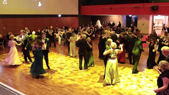 Der Druidenball in der Nürtinger Stadthalle K3N. Foto: Michael Heyde Der Druidenball in der Nürtinger Stadthalle K3N. Foto: Michael Heyde
