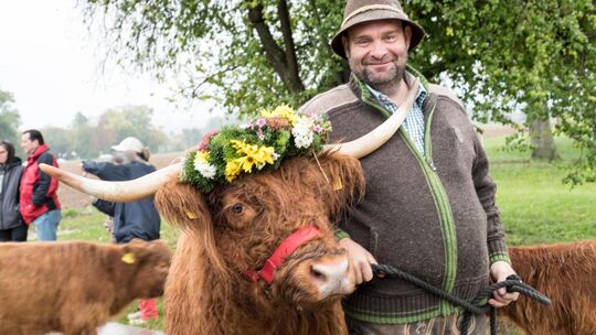 Albabtrieb bei der Scheuer Devaux Albabtrieb bei der Scheuer Devaux