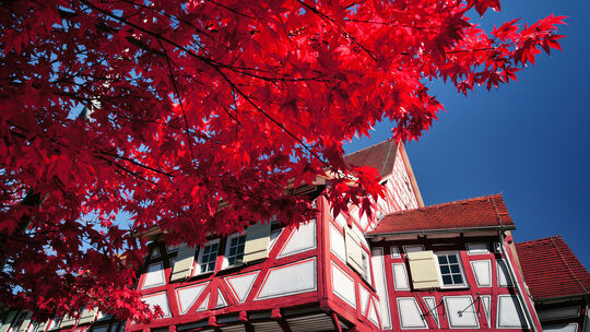 Das Schlössle in Oberlenningen. Das Schlössle in Oberlenningen.